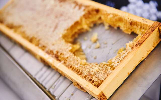 MAXX by Steigenberger Hotel Vienna