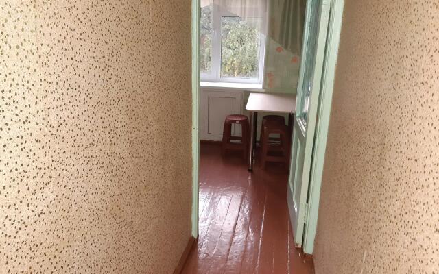 Apartments on Gagarin Avenue 1st line 9