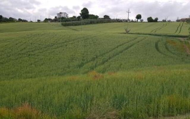 Agroturismo Il Vecchio Pioppo