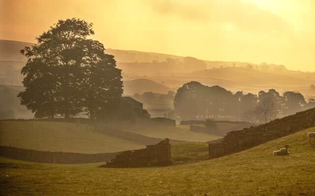 Bracken Beck