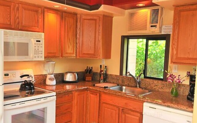 PuaMana 175-2 - 1 Br Condo