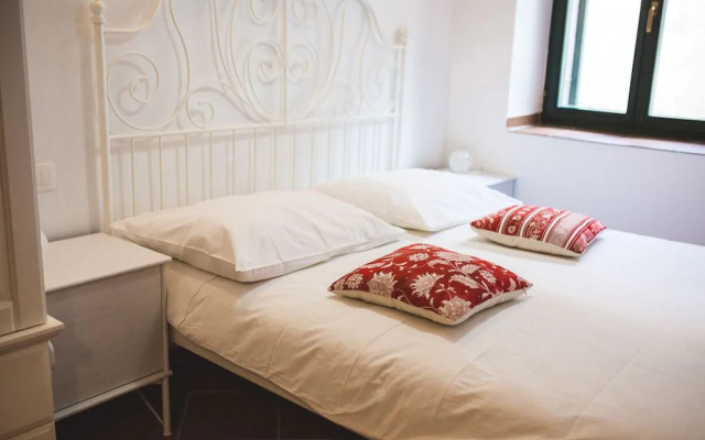 Jerry & Oli's Apartments