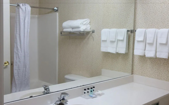 Country Inn & Suites by Radisson, McDonough, GA