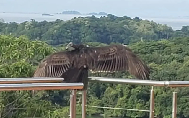 Boca Chica Bay Eco Lodge