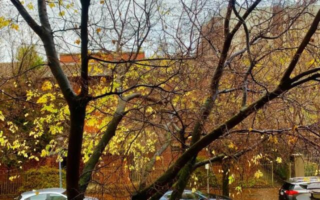 The Windsor lodge by BreathingSpace