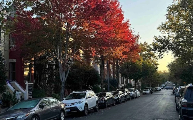 Bloomingdale Garden Unit Walk to Metro Station