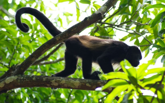 Hotel Locanda Samara Beach