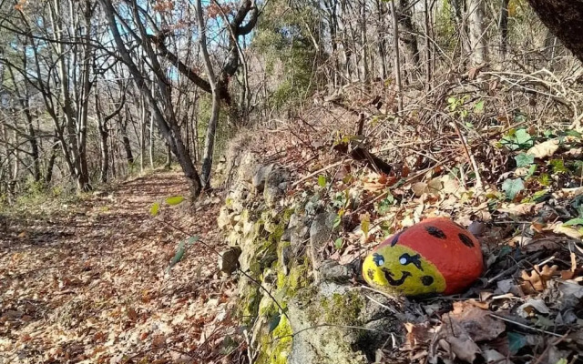Loft With Panoramic Terrace