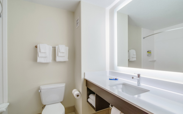 Holiday Inn Express Hotel & Suites Custer by IHG