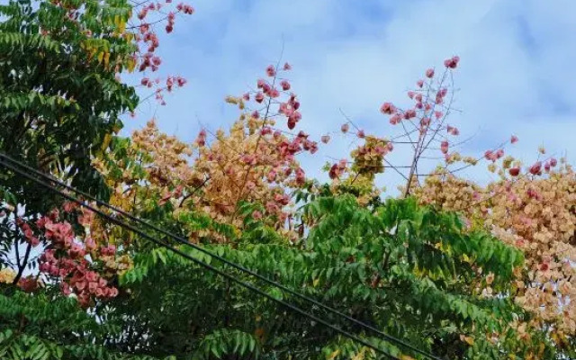 Jinxian Changshan Holiday Hotel