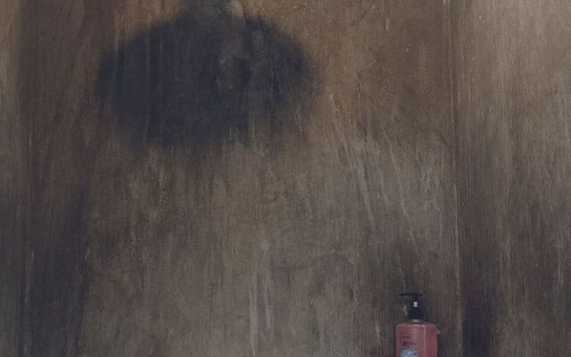 Coco Pod Siargao Hostel