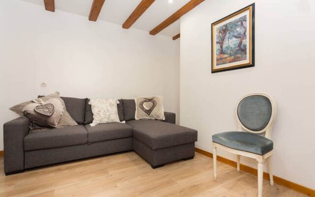 Appartement Les Tanneurs Colmar - Shaaby