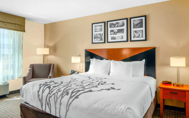 Garner Hotel Idaho Falls Southwest by IHG - фото 3
