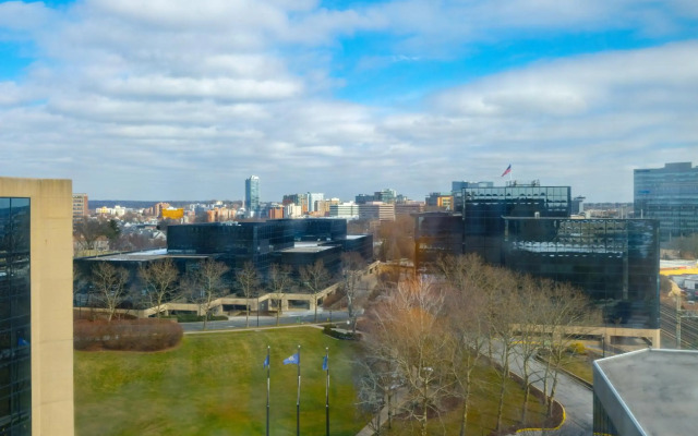Hilton Stamford Hotel & Executive Meeting Center