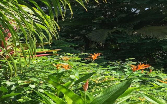 La Nature Apartments