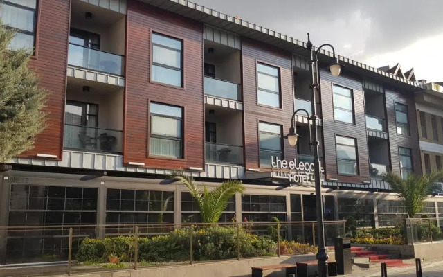 The Elegant Hotel