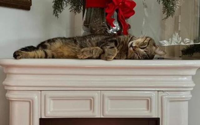 Masseria Principe di Puglia