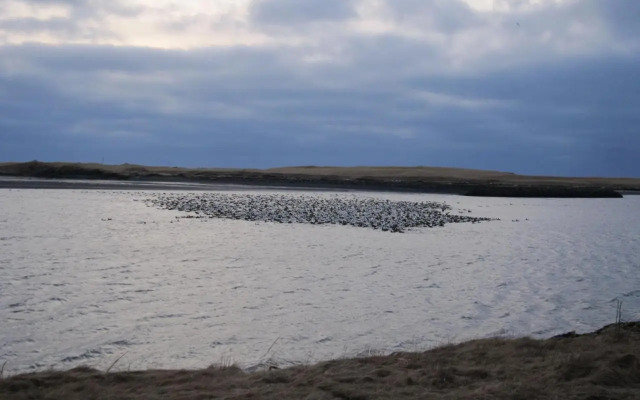 Apartment by the Sea