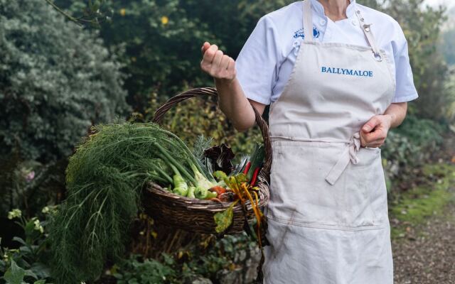 Ballymaloe House Hotel
