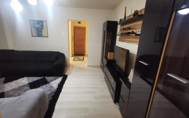 Gura Humorului Apartament lux confort