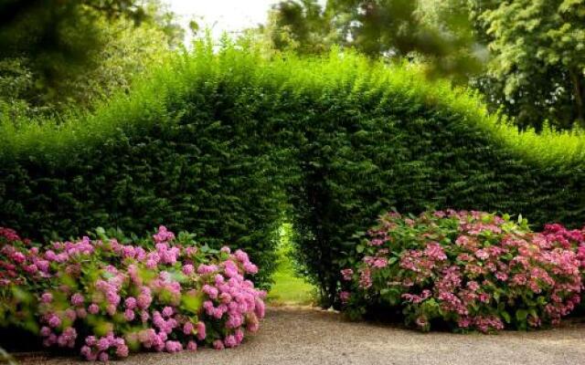 Château de la Marine