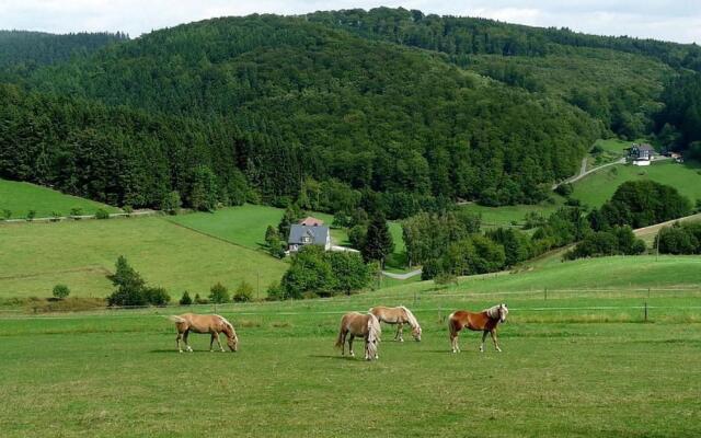 Ferienhaus & Nurdachhaus Rothaargebirge