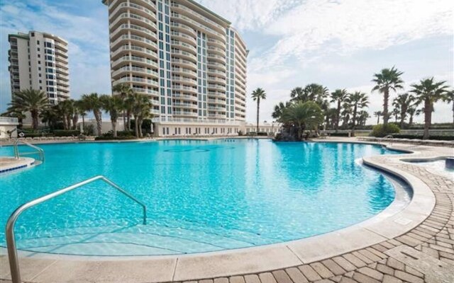 St. Maarten 1104 Silver Shells - 173097