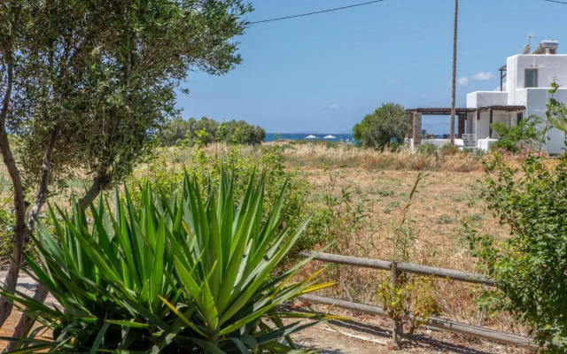 Tolakis Studios