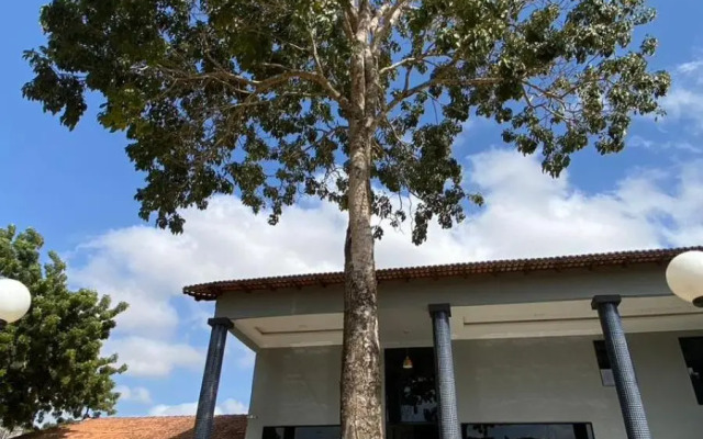 Toddes Exclusive Resort