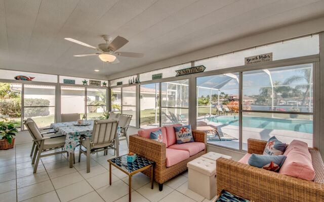 All About The Dolphins - Roelens Vacations