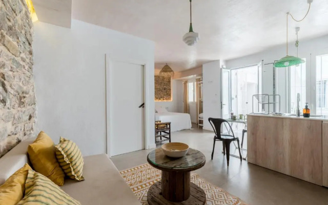 Erizo 4 Estudio en el Centro Histórico