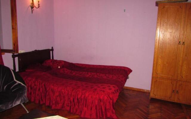 Apartment on Machabeli 20