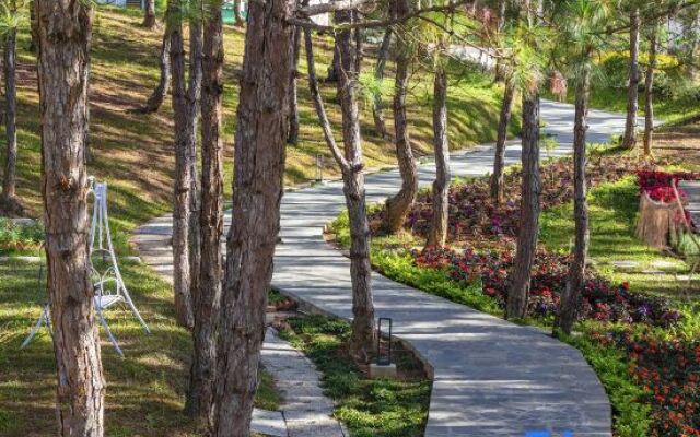 Kim Resort - Khu Nghĩ Dưỡng Rừng Lá Kim