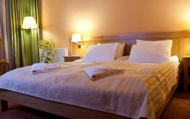 Hotel - Restaurant Gonduzo