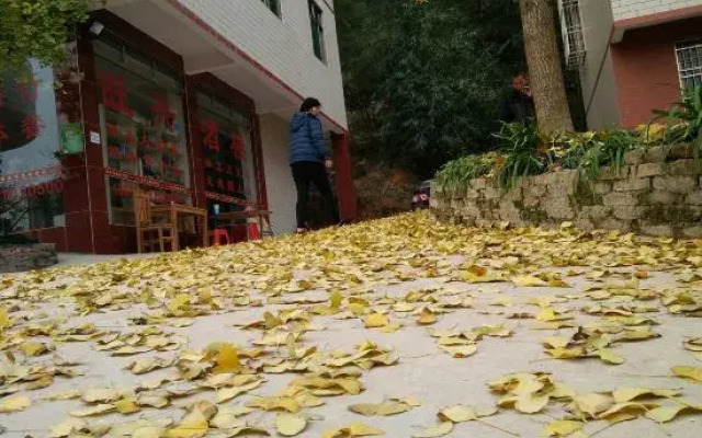 Wang Xing Hotel