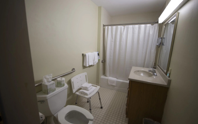 Peaks of Otter Lodge