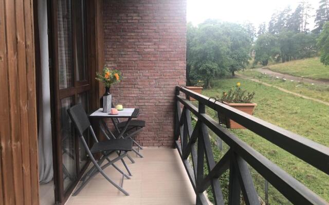 Bakuriani Park Residence Apartment47