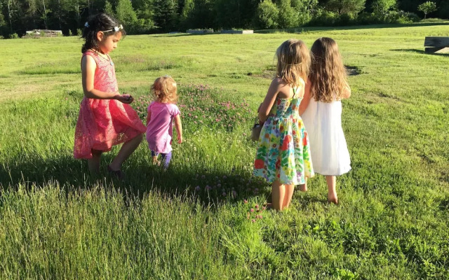 Robert Frost Mountain Cabins