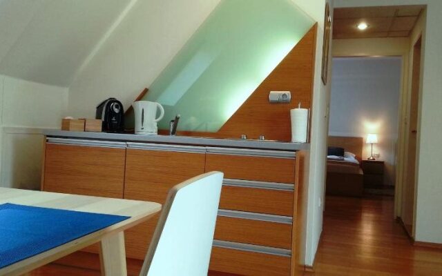 Hotel Villa Ostrava 3+