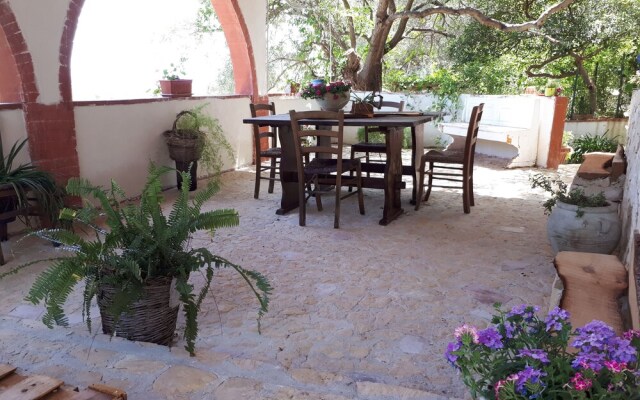 The Mountain Gardens