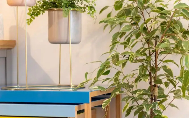 Crescent House Apartments