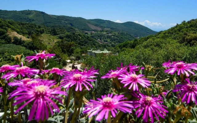 Tenuta dei Normanni - Hospitality