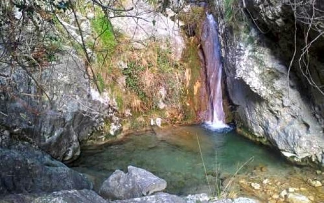 Monacoecolodge
