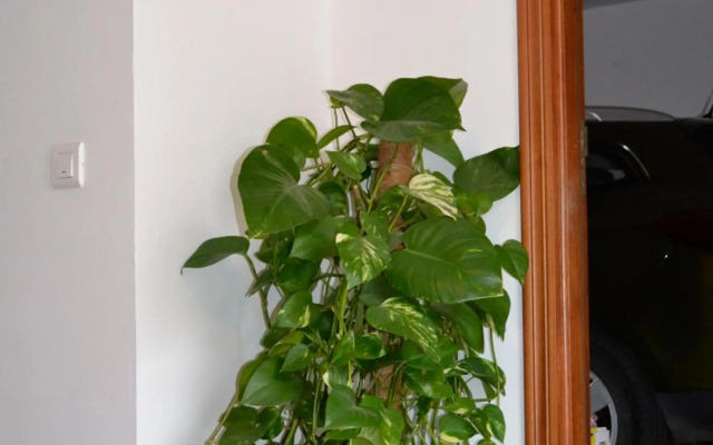 Casa Quercus con piscina privada