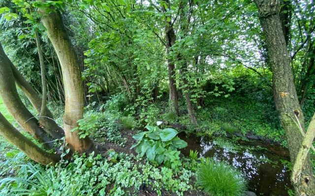 Charming Farmhouse Near the bay of Mont St Michel