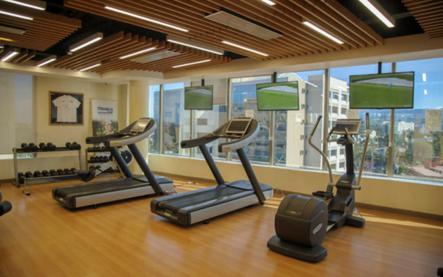 Holiday Inn Hotel & Suites Medica Sur by IHG