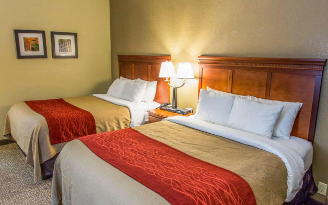 Comfort Inn Opelika - Auburn