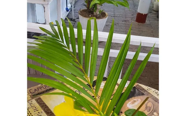 Samvilla