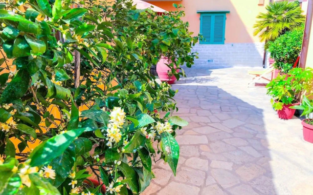 Cuore di Nozzano Castello