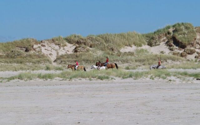 "Franka" - 800m from the sea in Western Jutland